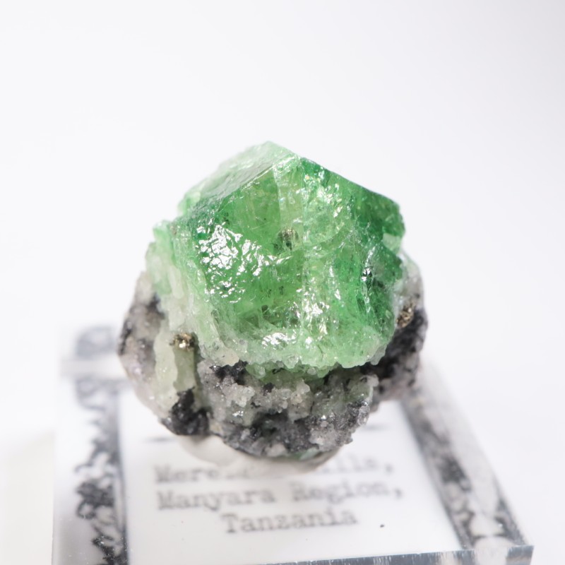 ����˥ҥ륺�� �����ͥå�