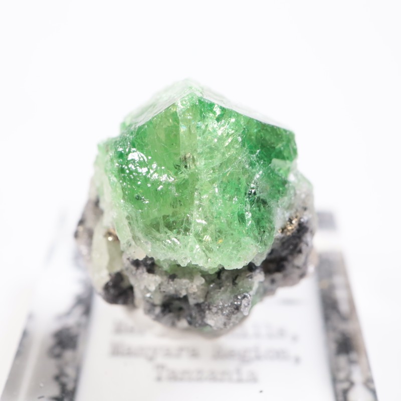 ����˥ҥ륺�� �����ͥå�