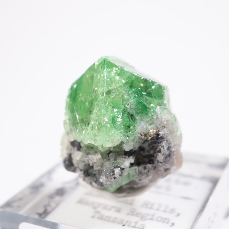 ����˥ҥ륺�� �����ͥå�