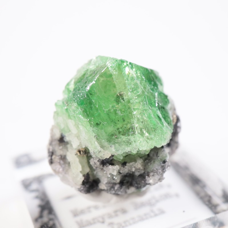 ����˥ҥ륺�� �����ͥå�