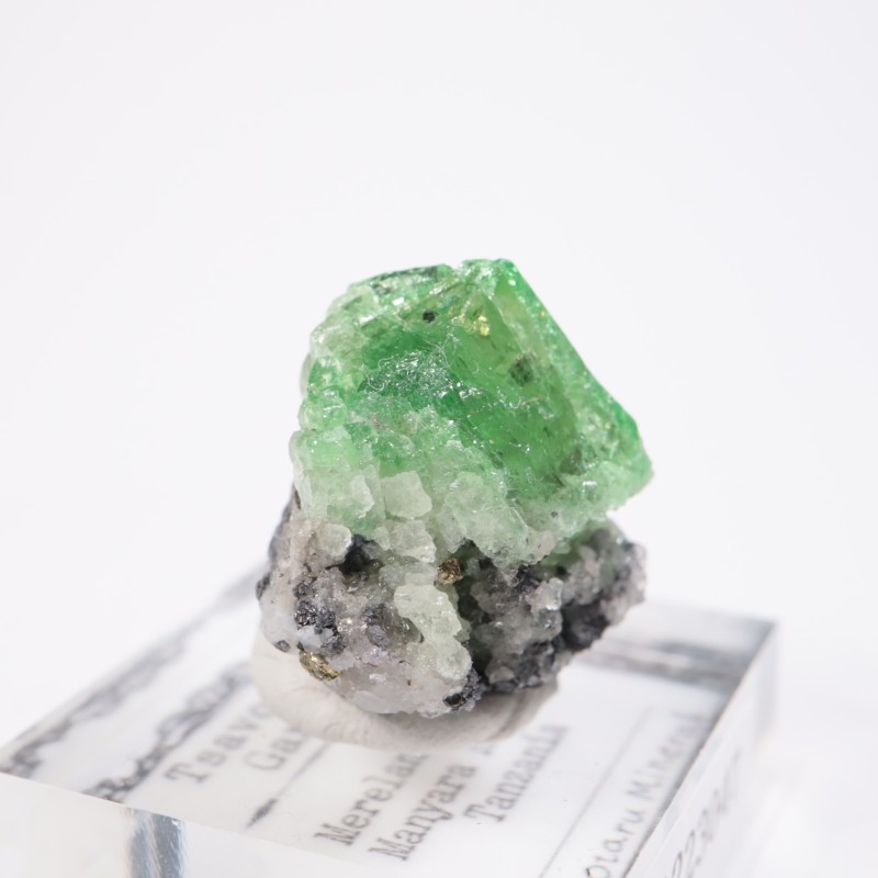 ����˥ҥ륺�� �����ͥå�