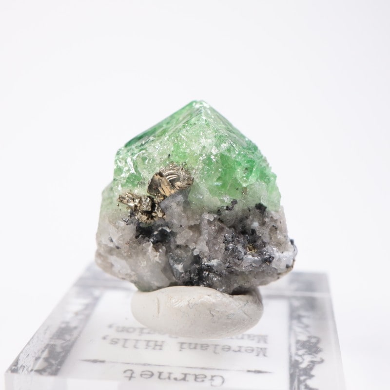 ����˥ҥ륺�� �����ͥå�