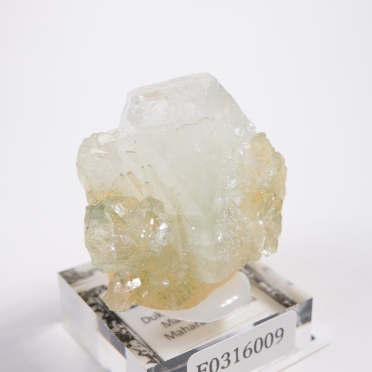 ����ɻ� ���ݥե��饤��