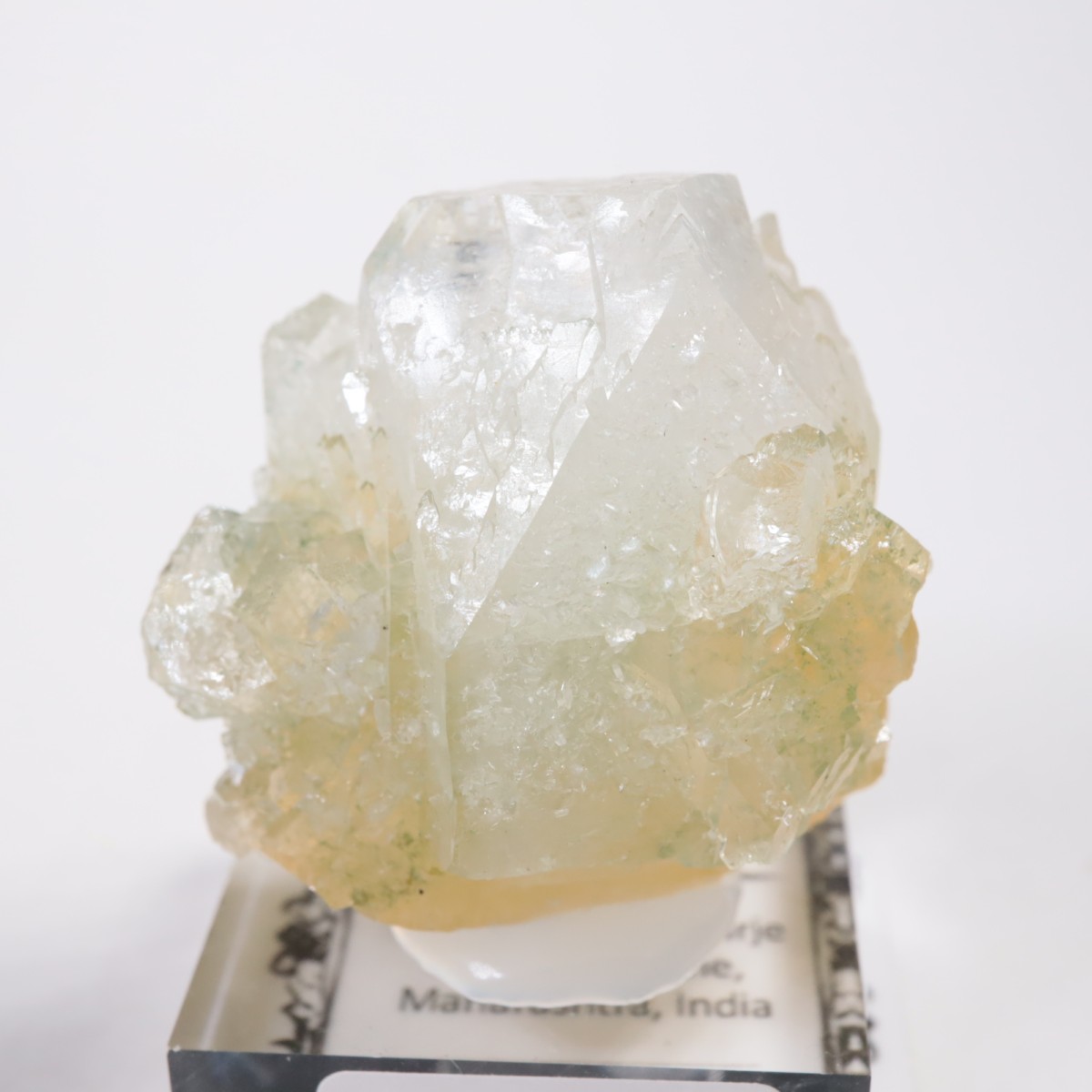 ����ɻ� ���ݥե��饤��