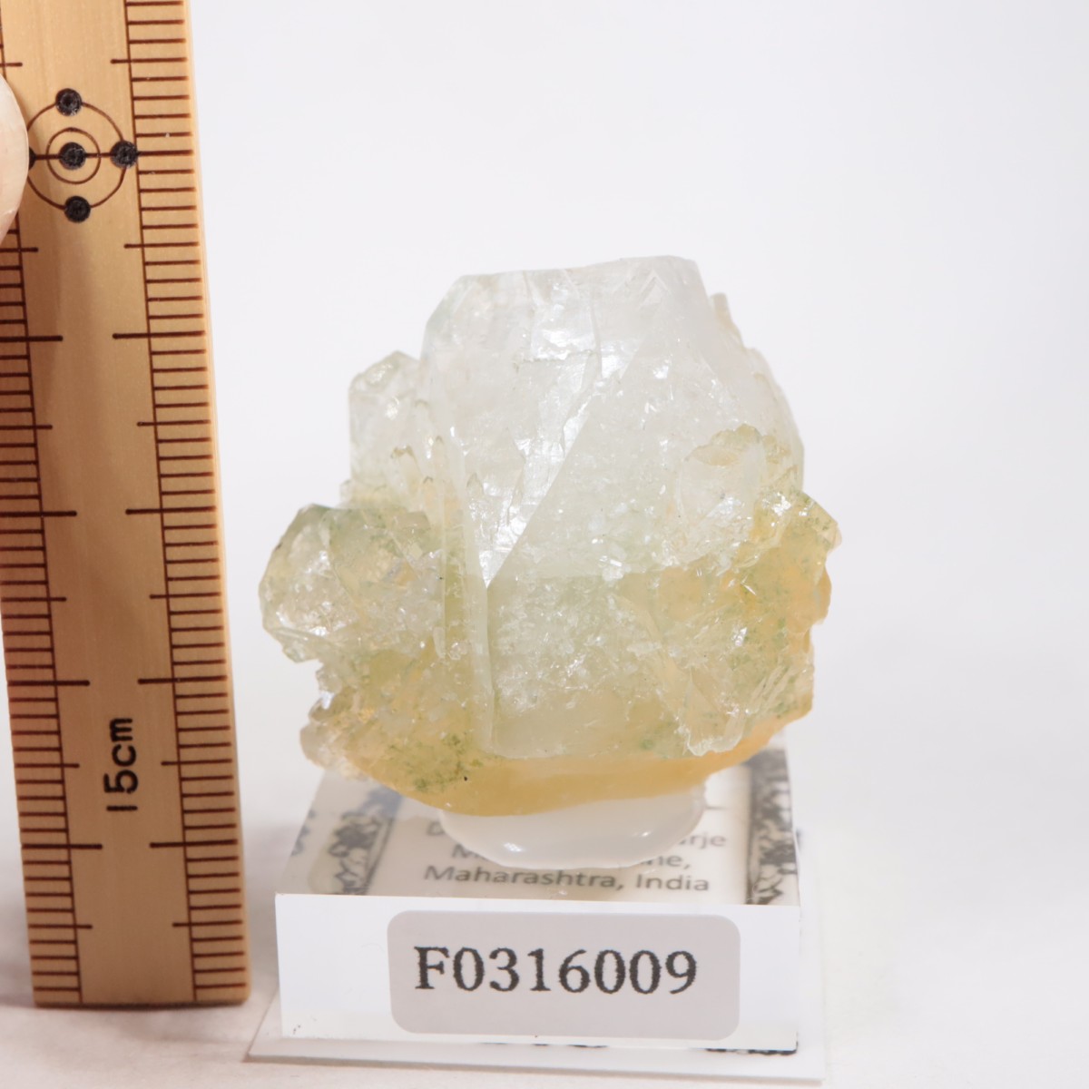 ����ɻ� ���ݥե��饤��