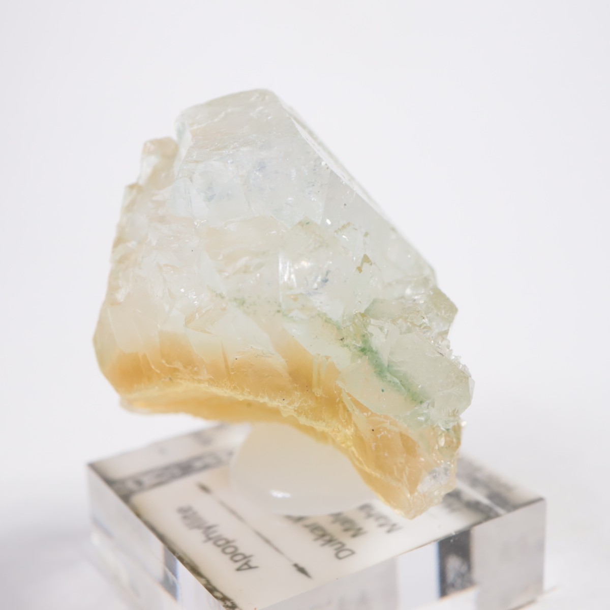 ����ɻ� ���ݥե��饤��