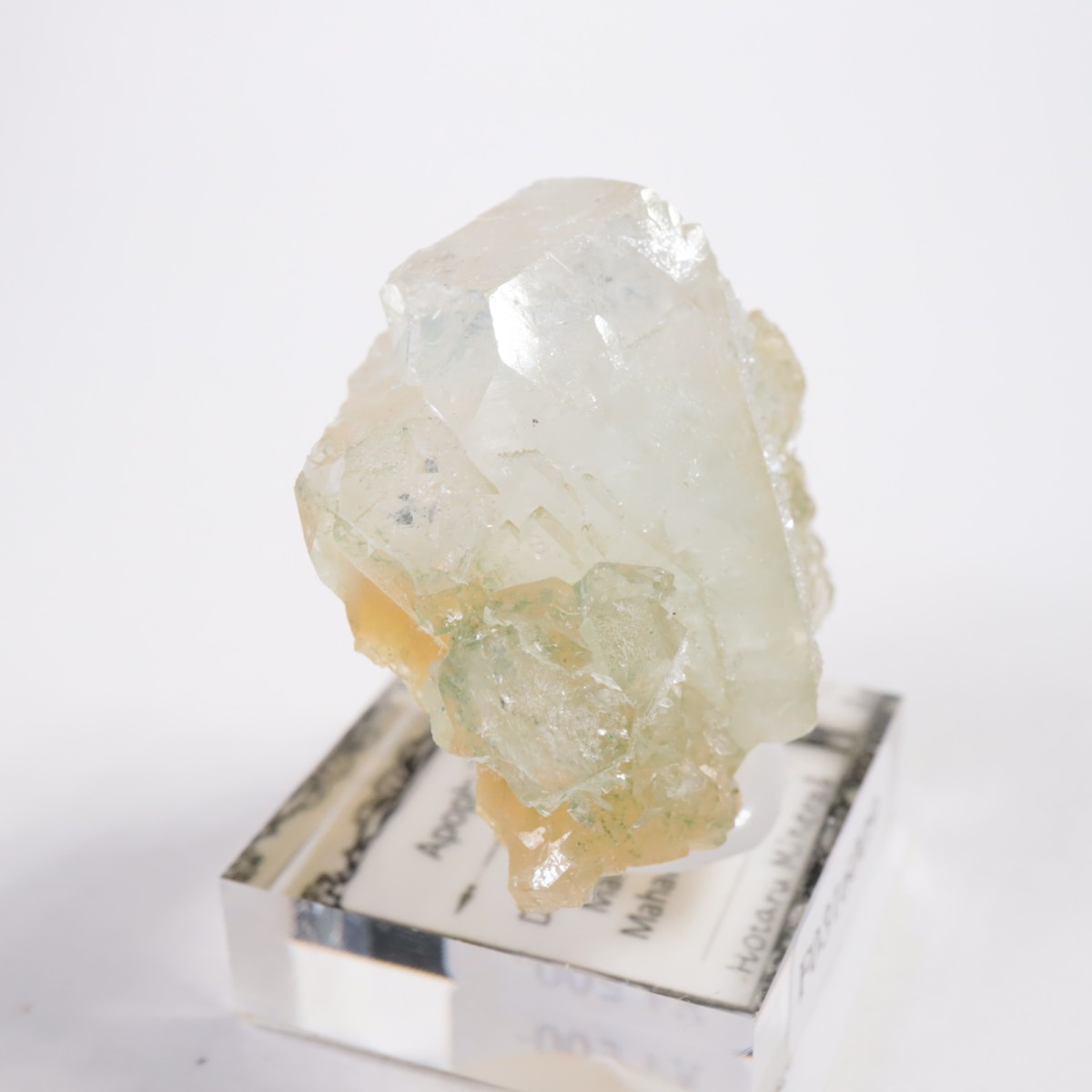 ����ɻ� ���ݥե��饤��