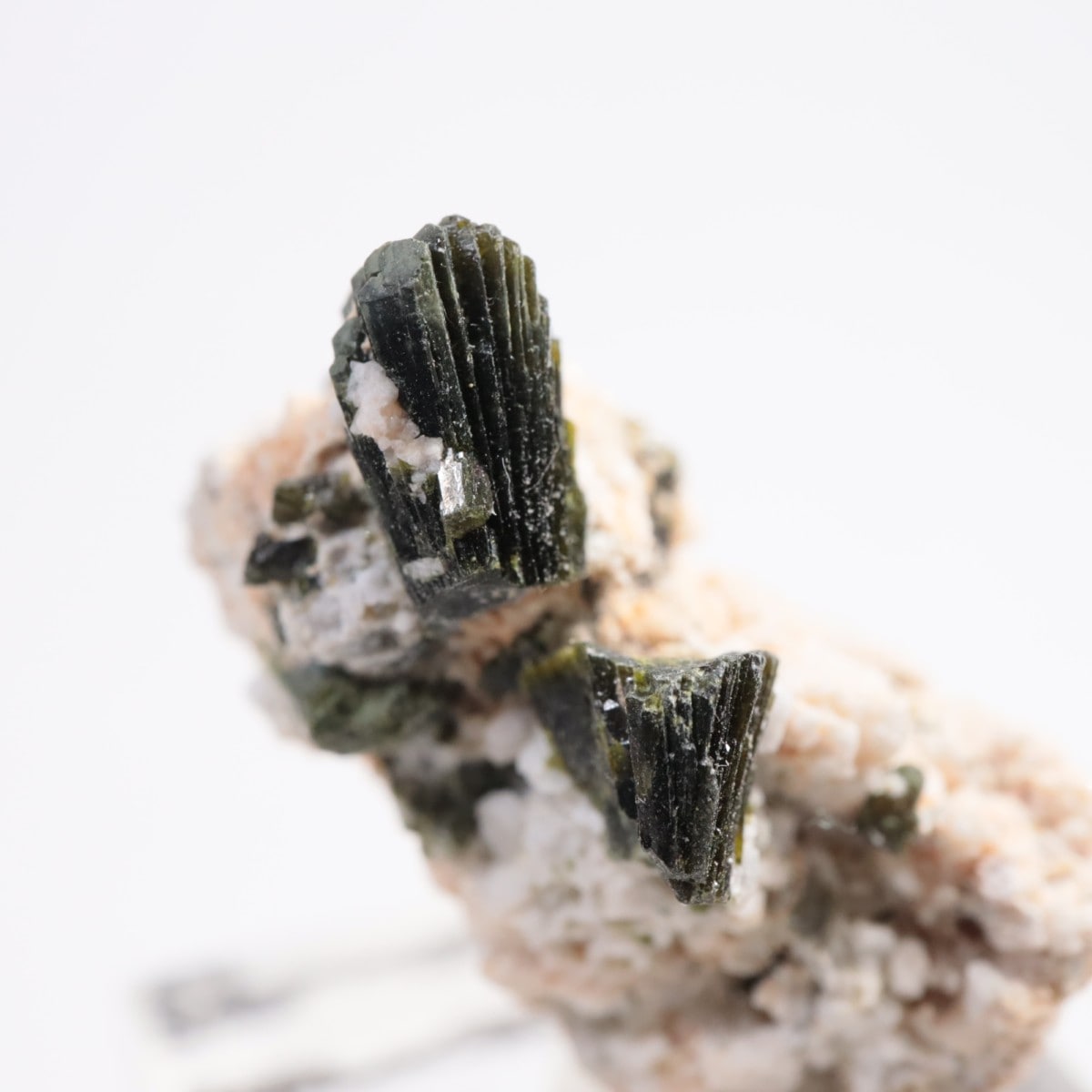 �ѥ������� ���ԥɡ���