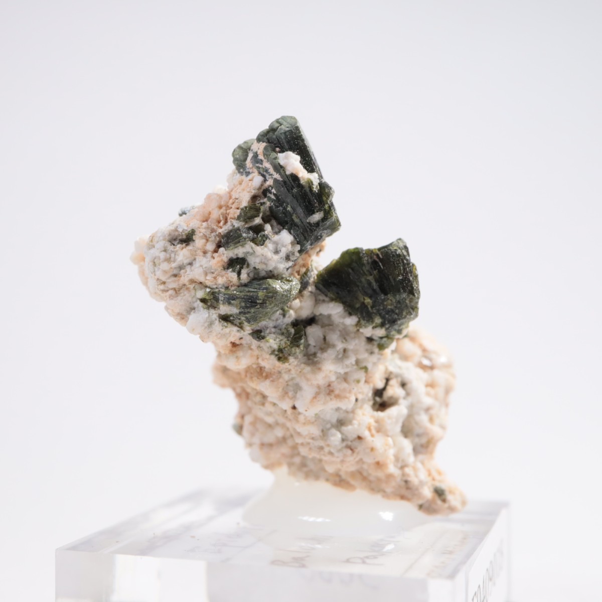 �ѥ������� ���ԥɡ���