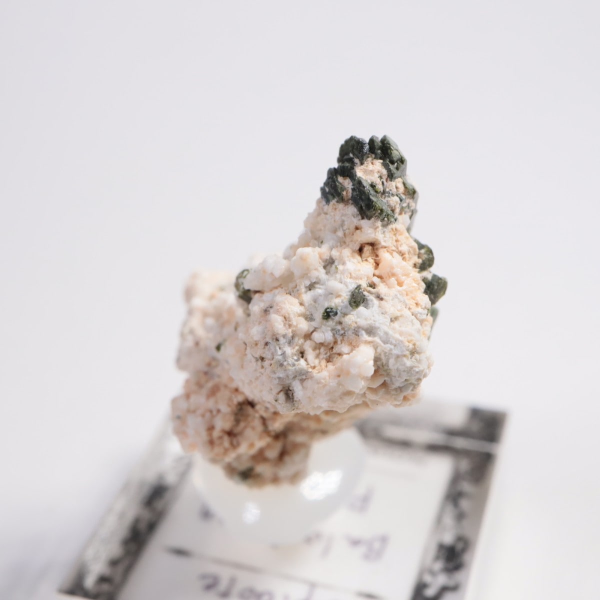 �ѥ������� ���ԥɡ���