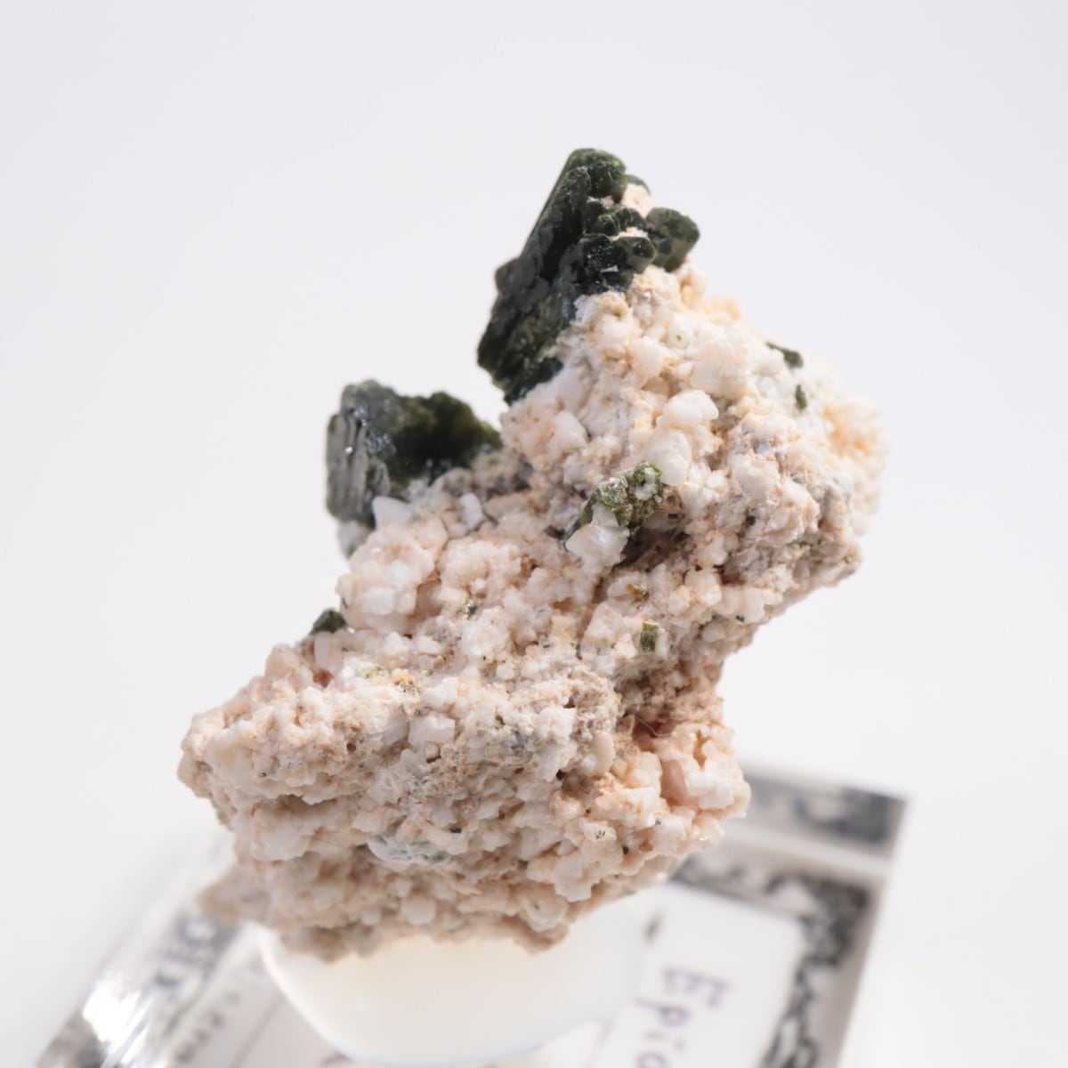 �ѥ������� ���ԥɡ���