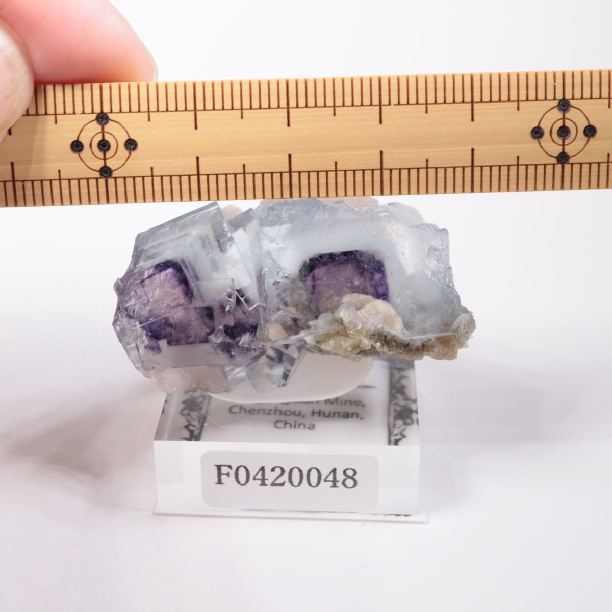 �䥪���󥷥��ۻ��� �ե����饤��