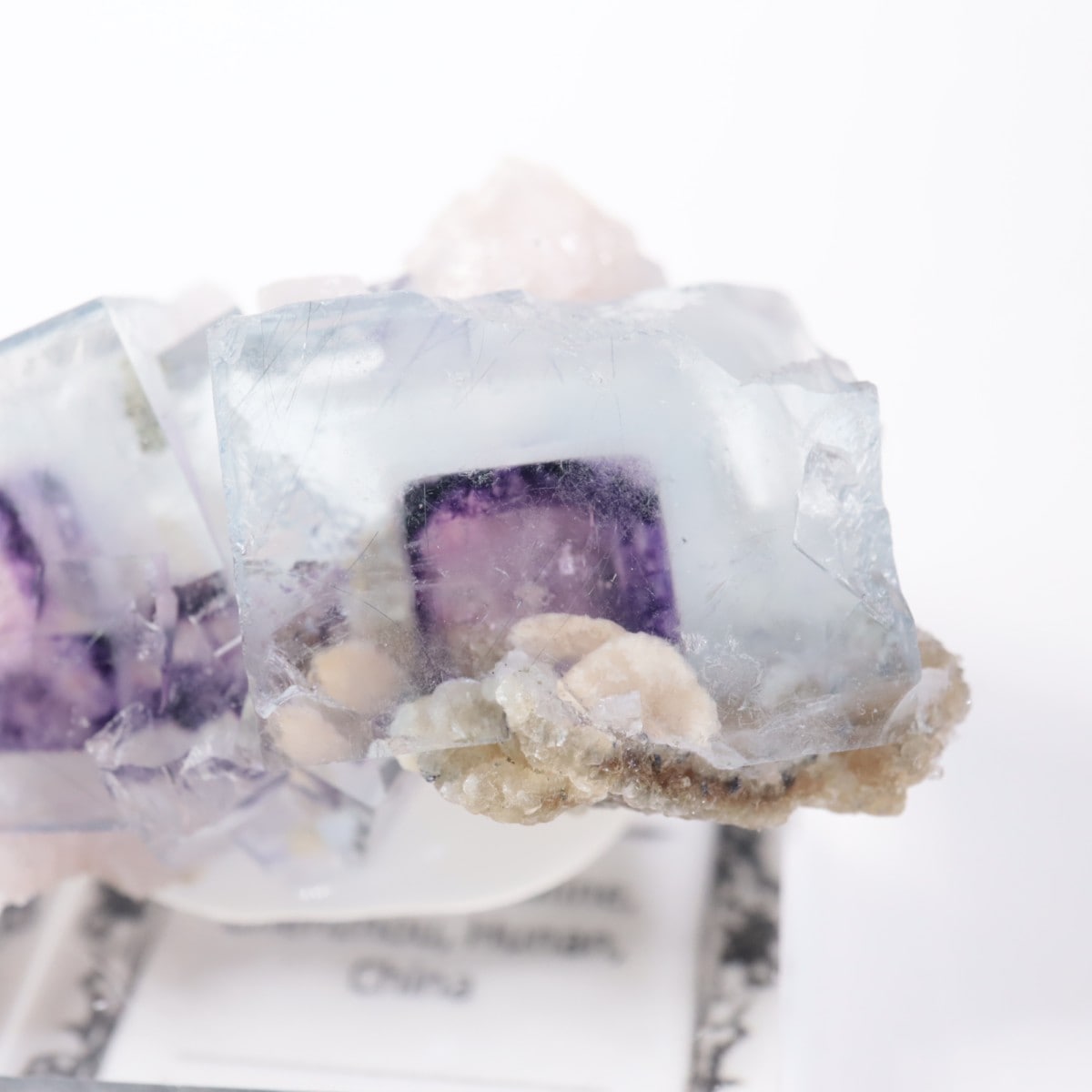 �䥪���󥷥��ۻ��� �ե����饤��