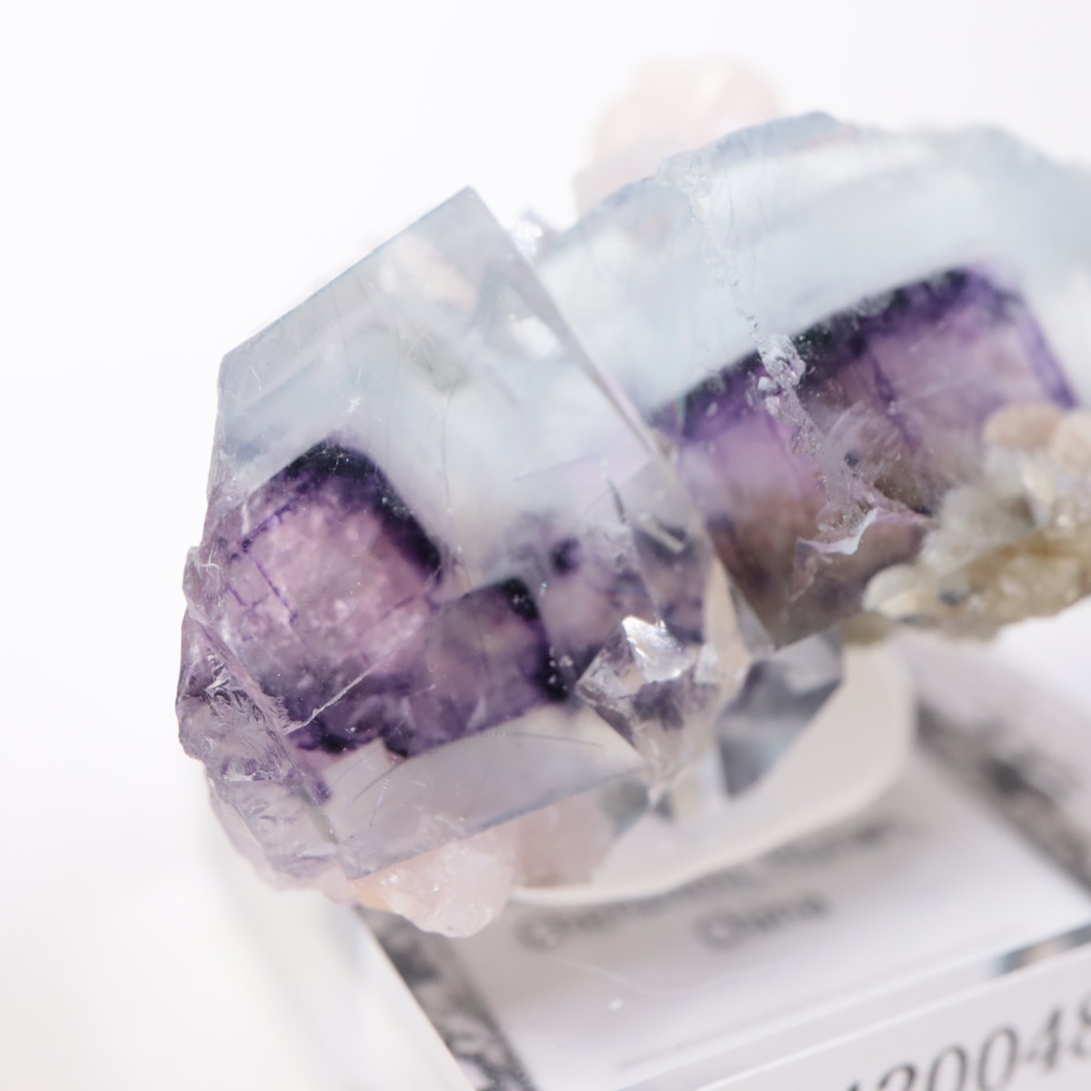 �䥪���󥷥��ۻ��� �ե����饤��