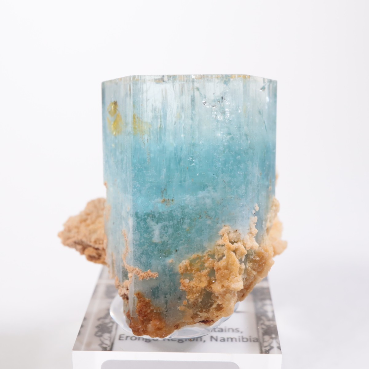 �����󥴹ۻ��� �������ޥ��