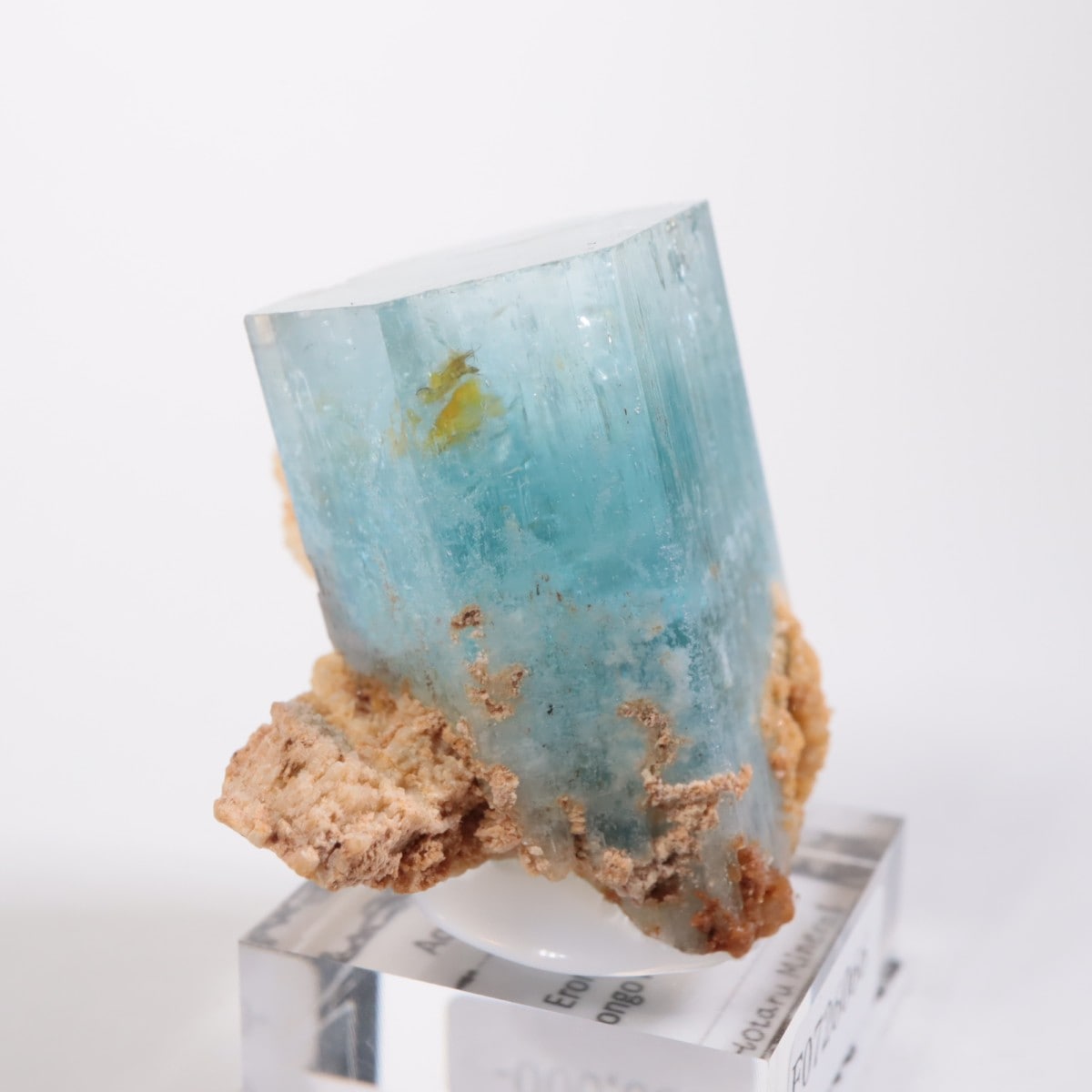 �����󥴹ۻ��� �������ޥ��