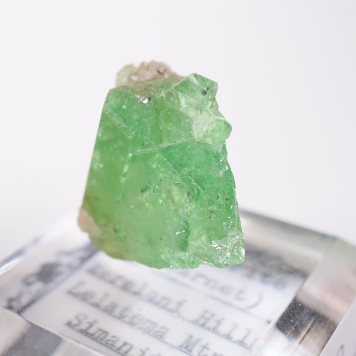 ���󥶥˥��� ��������顼�����ͥå�