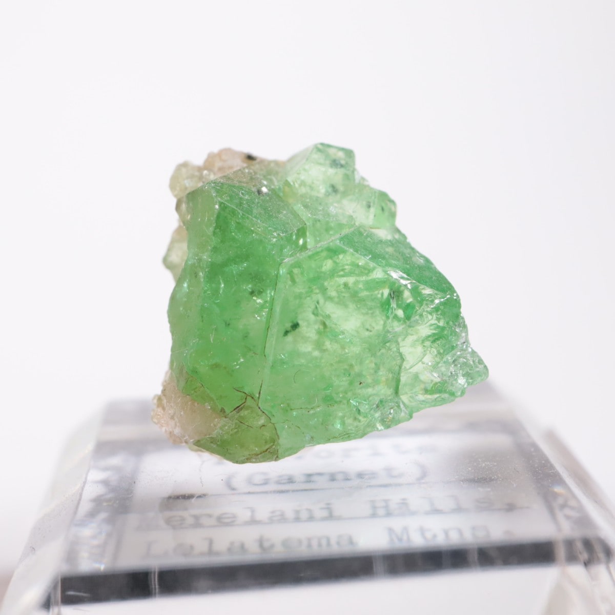 ���󥶥˥��� ��������顼�����ͥå�