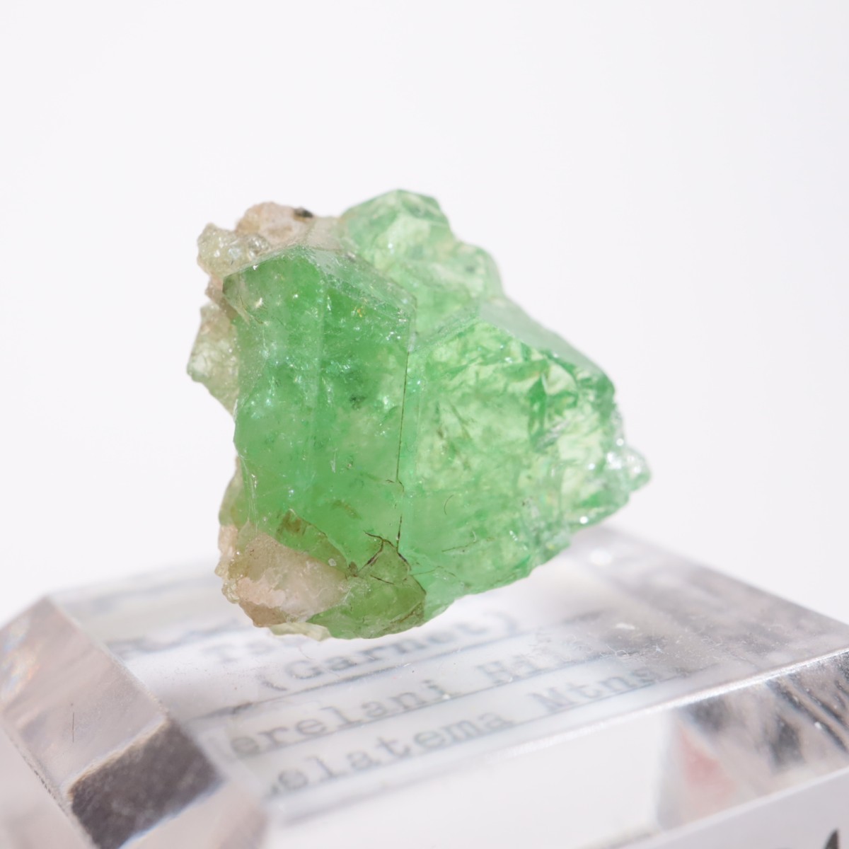 ���󥶥˥��� ��������顼�����ͥå�