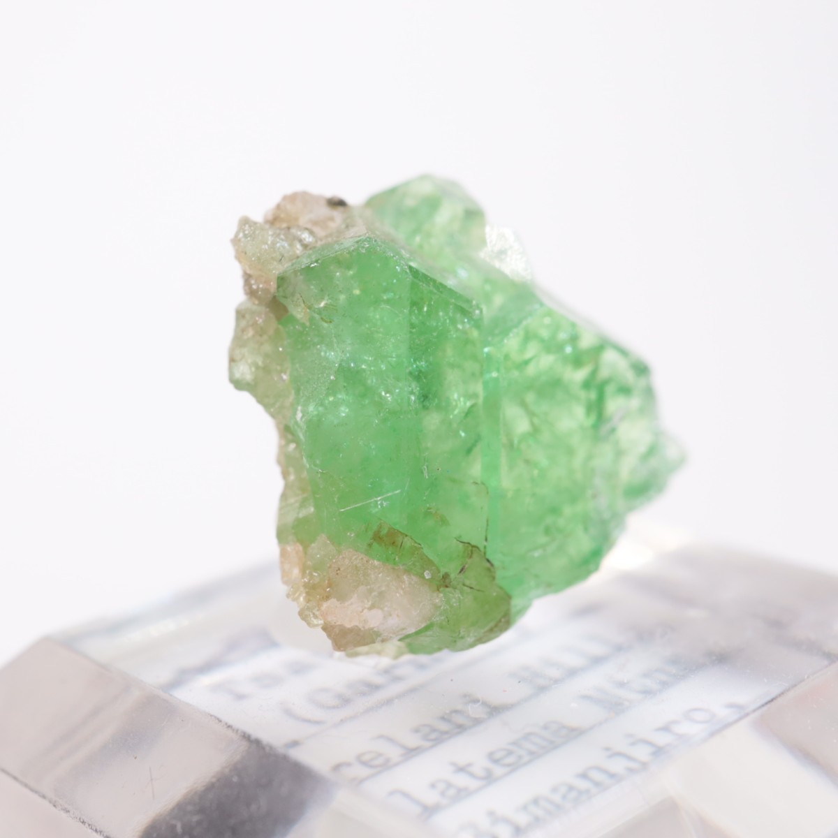 ���󥶥˥��� ��������顼�����ͥå�