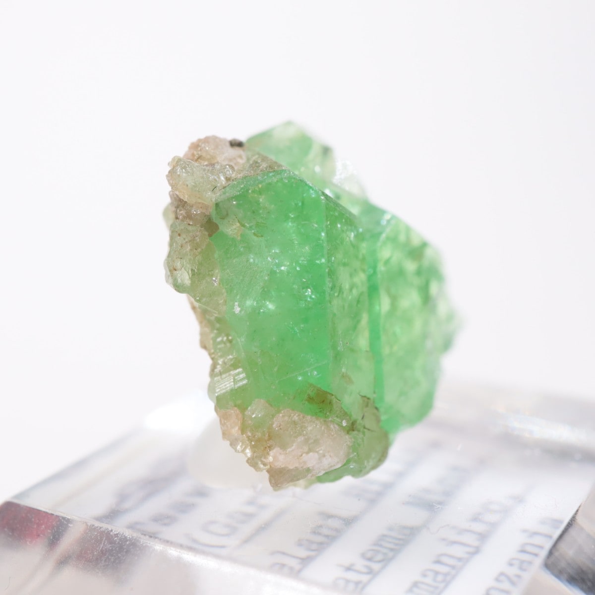 ���󥶥˥��� ��������顼�����ͥå�