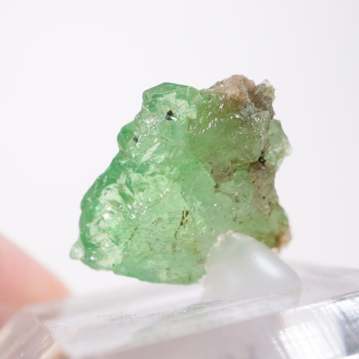 ���󥶥˥��� ��������顼�����ͥå�