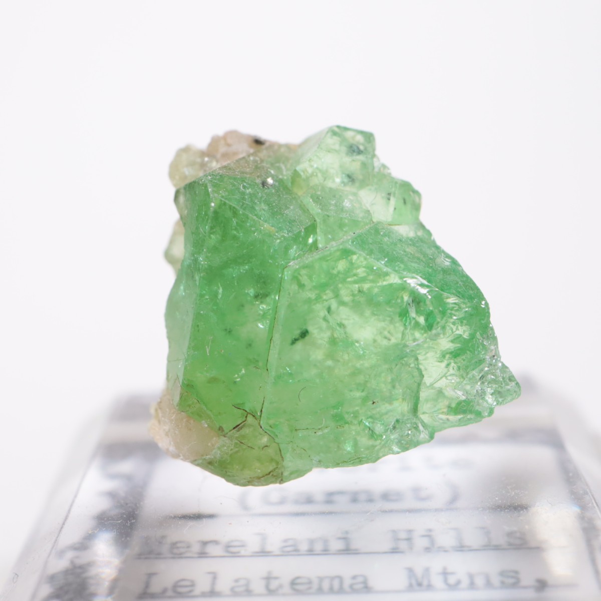 ���󥶥˥��� ��������顼�����ͥå�