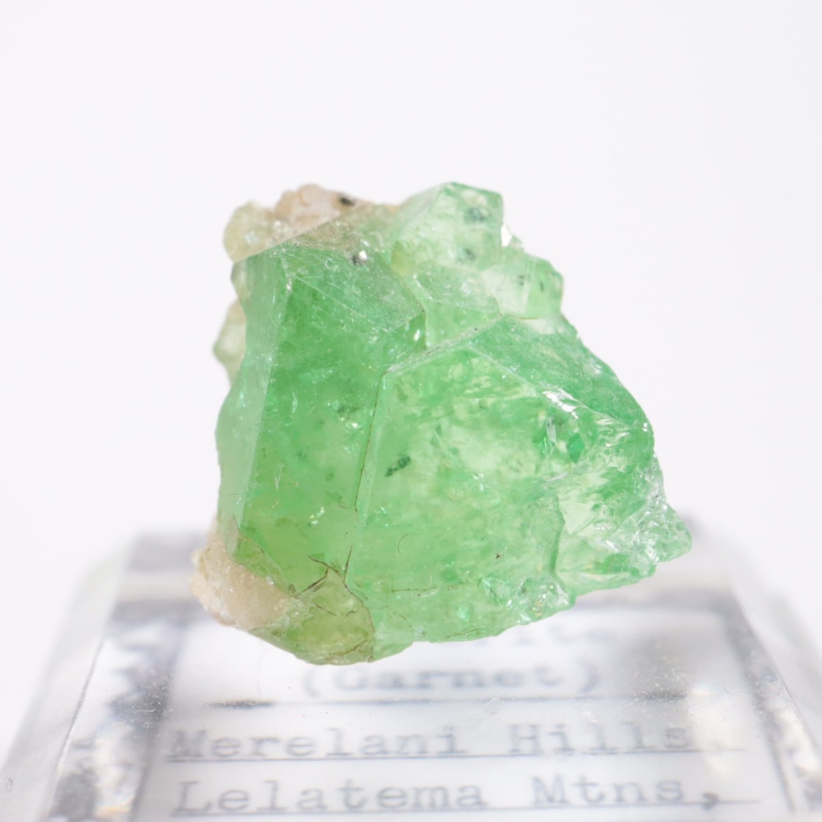 ���󥶥˥��� ��������顼�����ͥå�