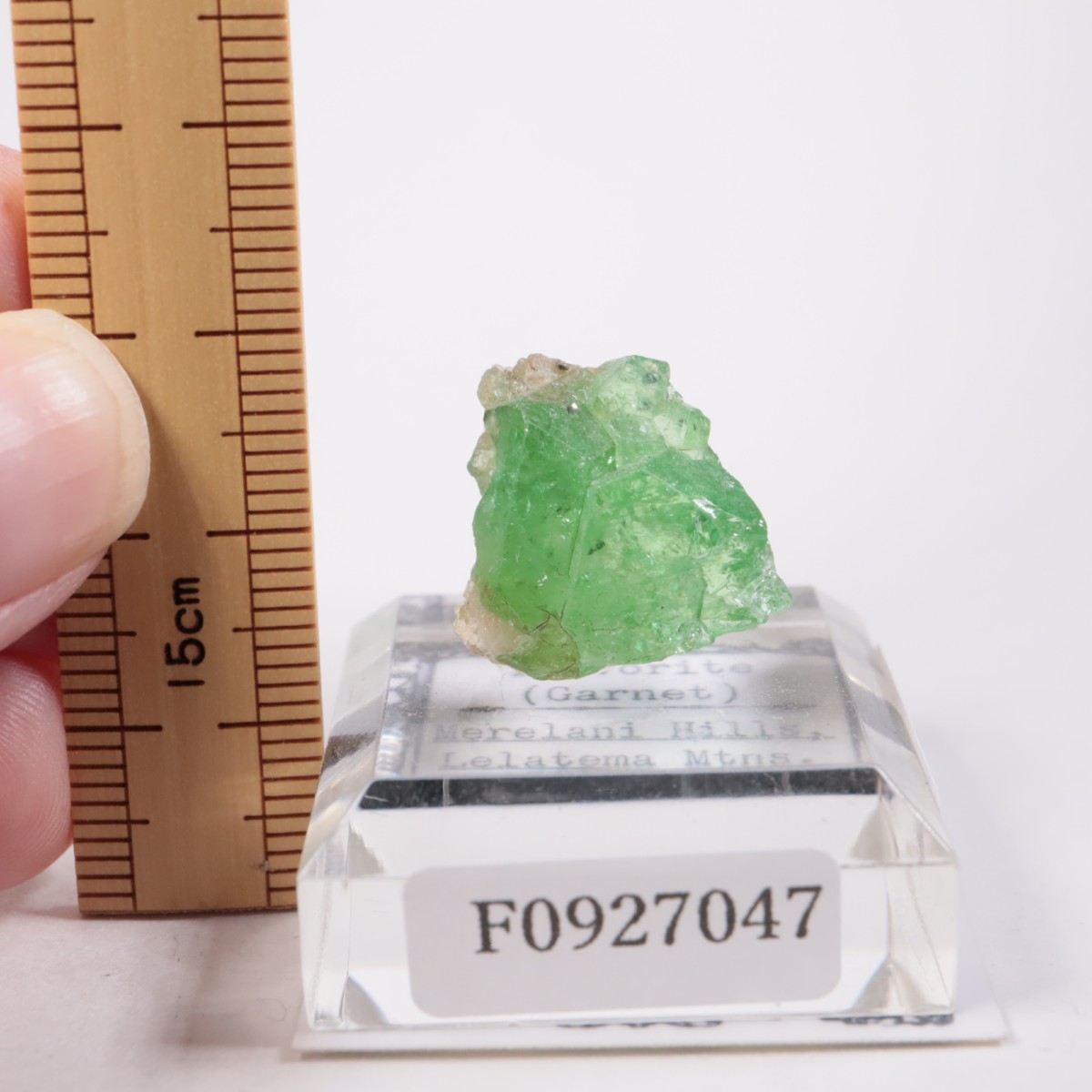 ���󥶥˥��� ��������顼�����ͥå�