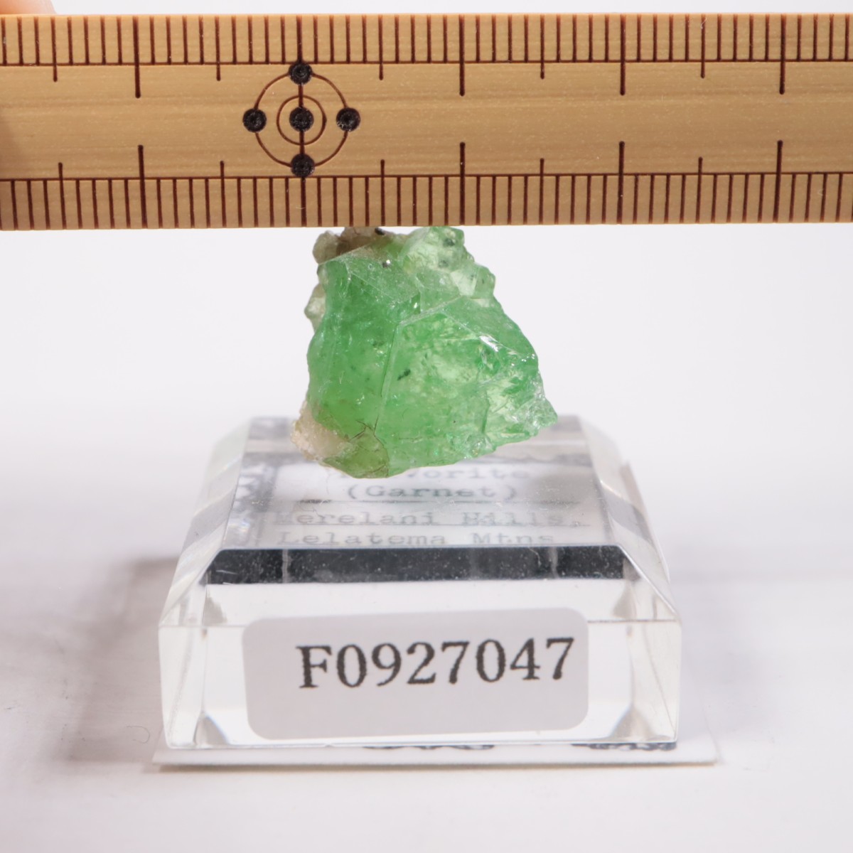 ���󥶥˥��� ��������顼�����ͥå�