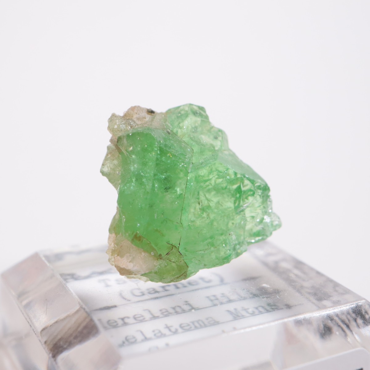 ���󥶥˥��� ��������顼�����ͥå�