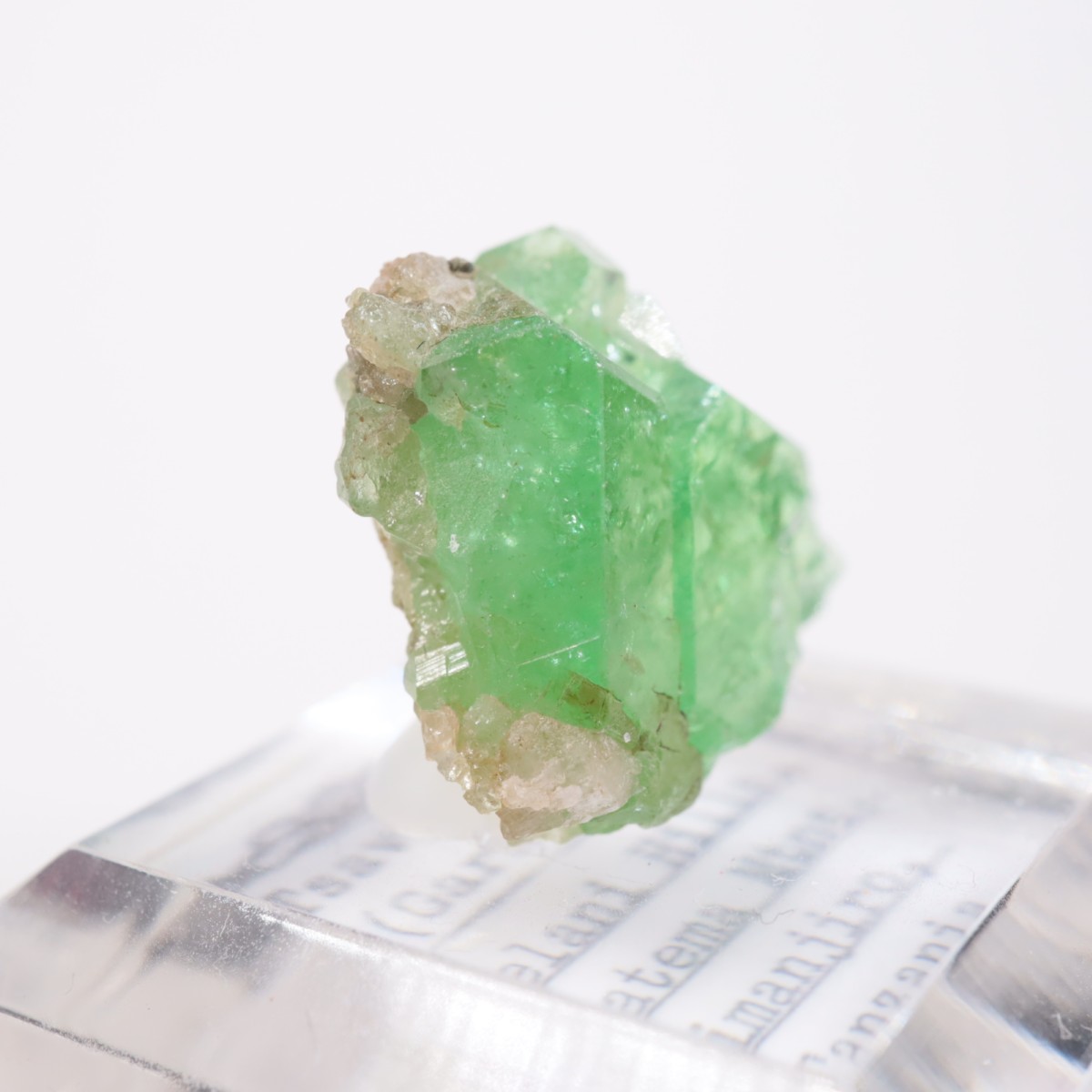 ���󥶥˥��� ��������顼�����ͥå�