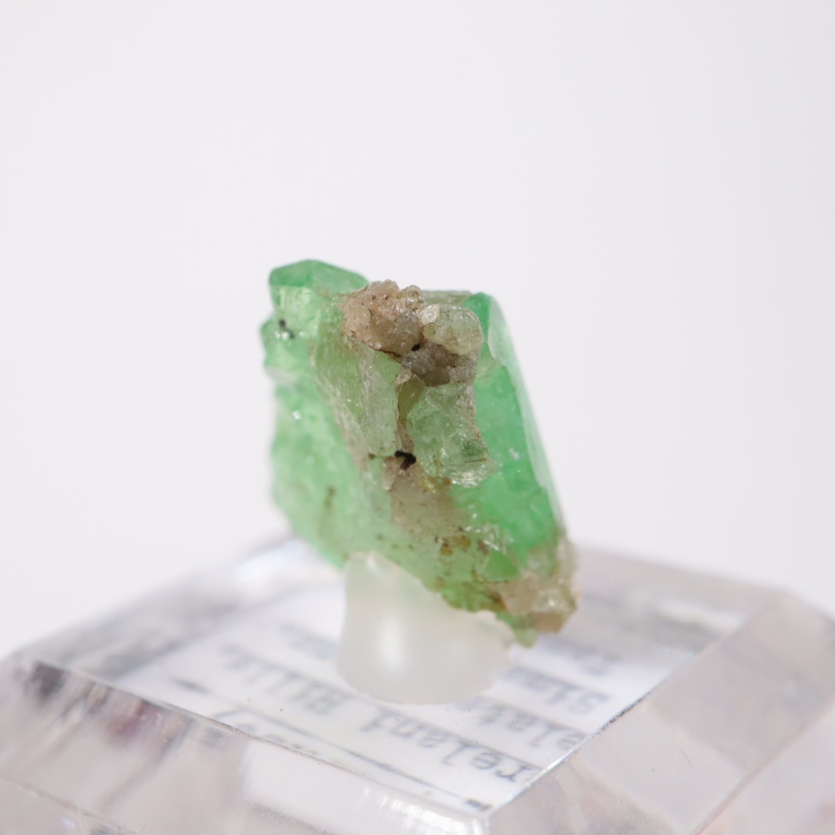 ���󥶥˥��� ��������顼�����ͥå�