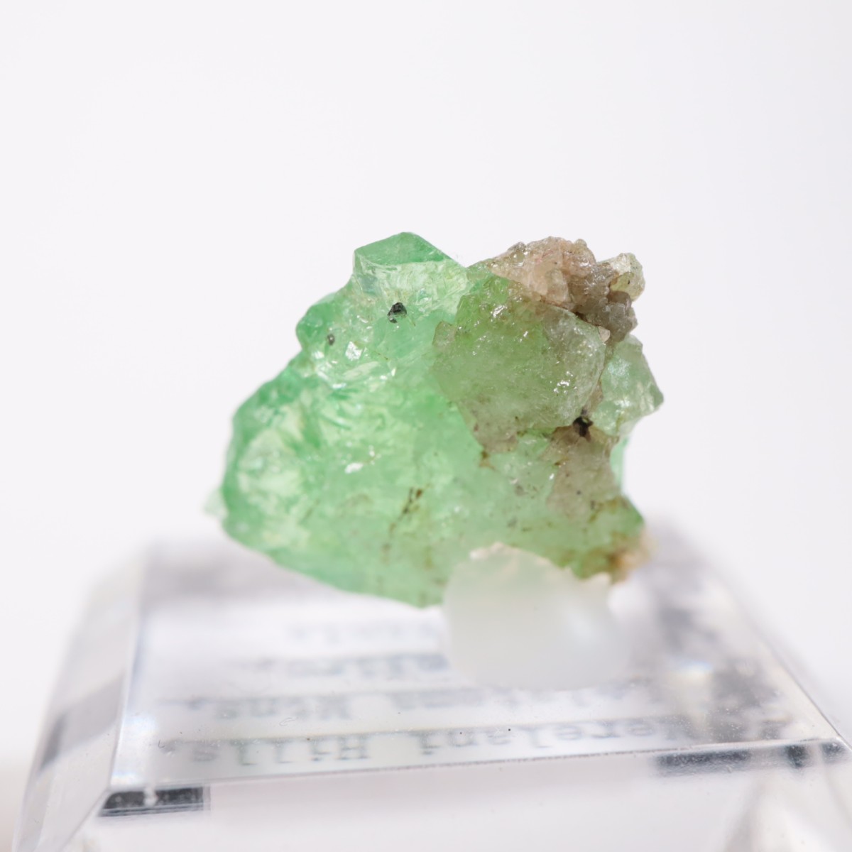 ���󥶥˥��� ��������顼�����ͥå�