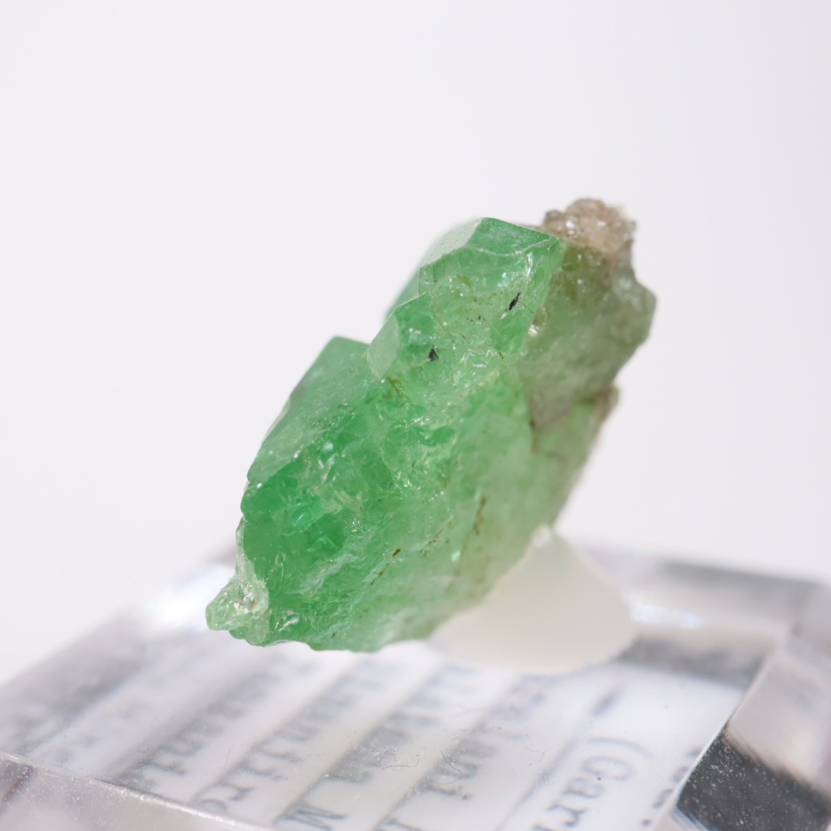 ���󥶥˥��� ��������顼�����ͥå�