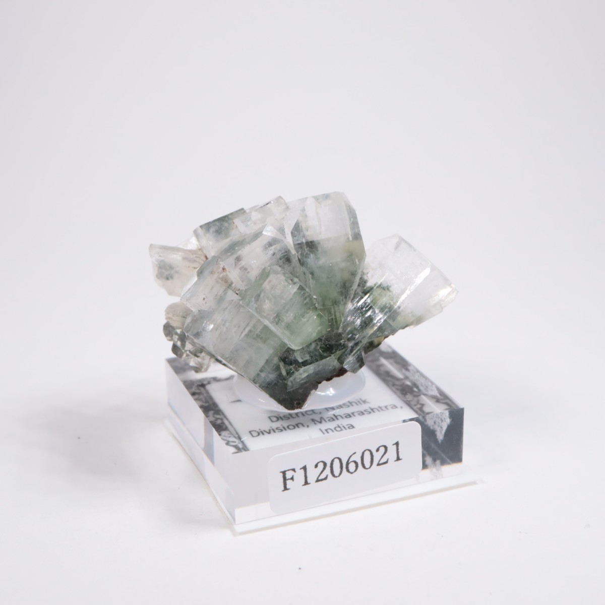 ����ɻ� ���ݥե��饤��