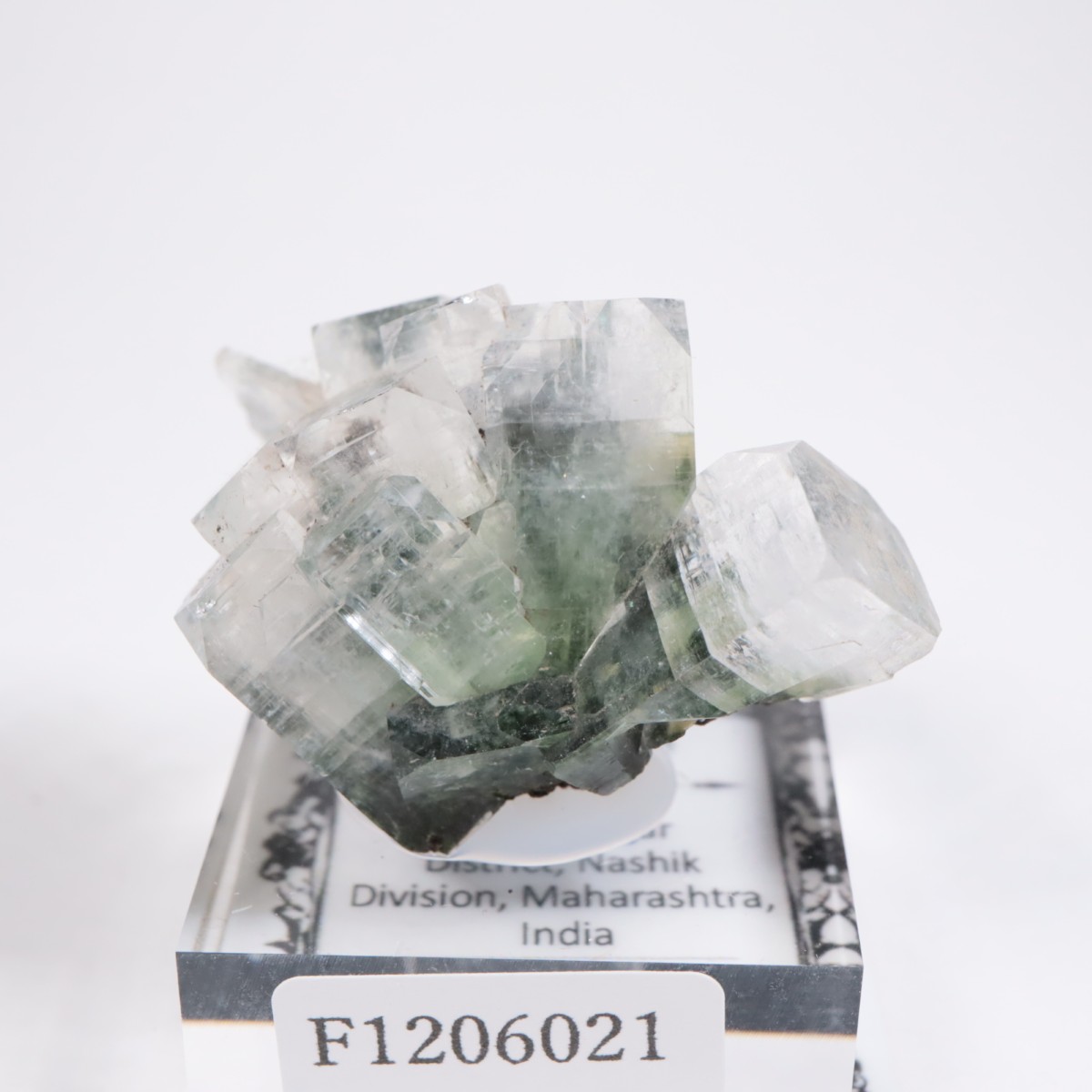 ����ɻ� ���ݥե��饤��