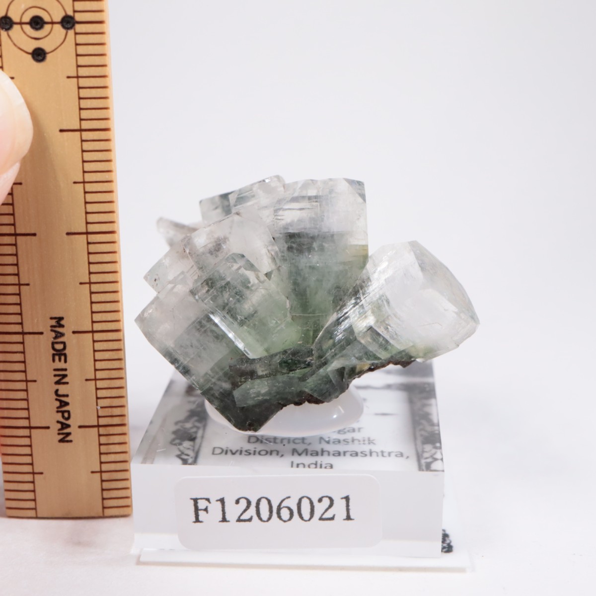 ����ɻ� ���ݥե��饤��