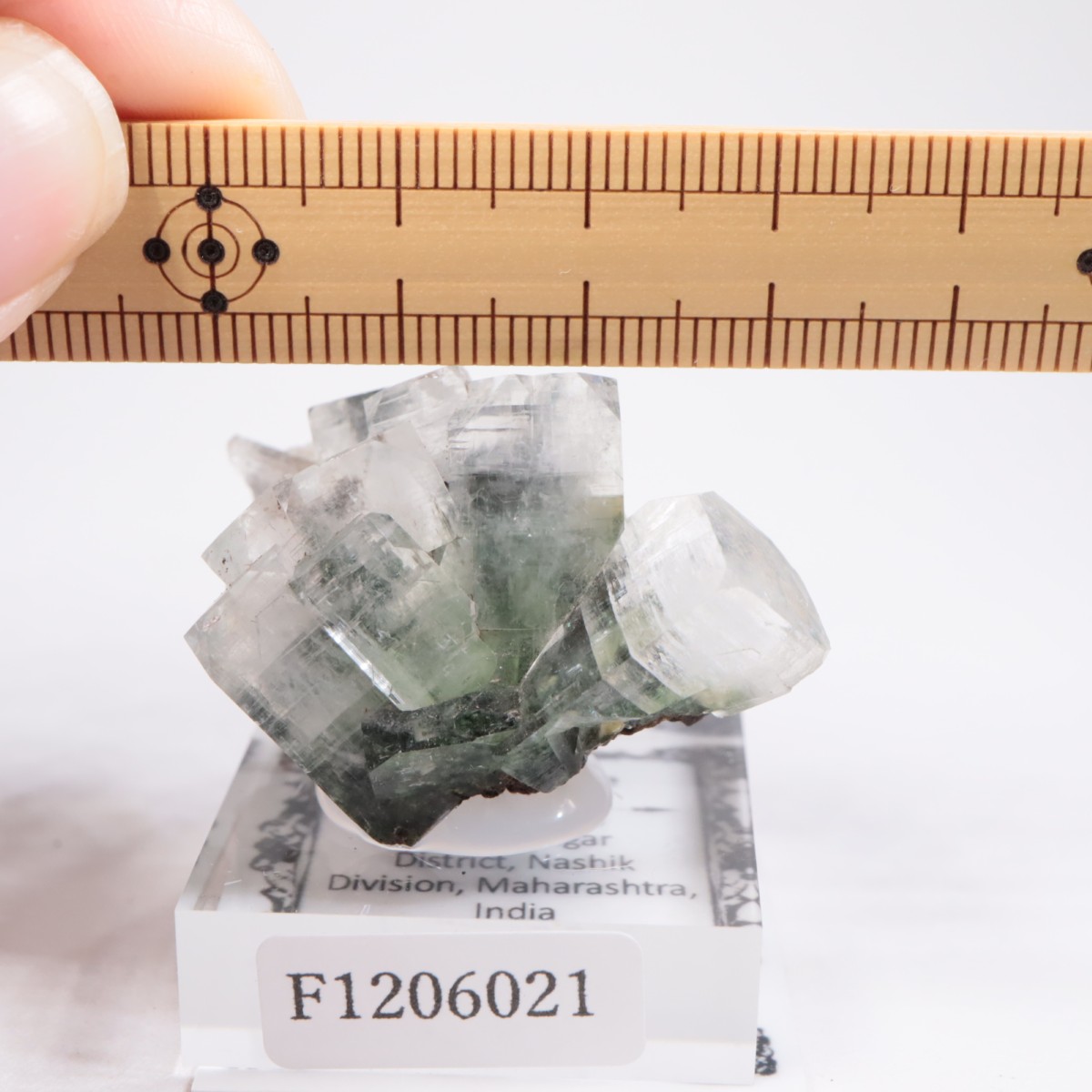 ����ɻ� ���ݥե��饤��