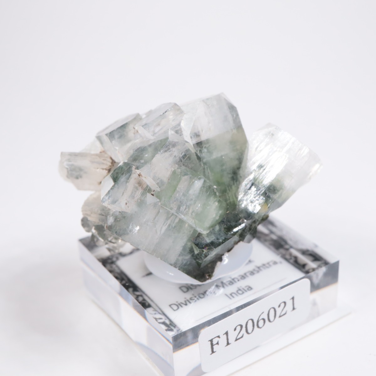 ����ɻ� ���ݥե��饤��