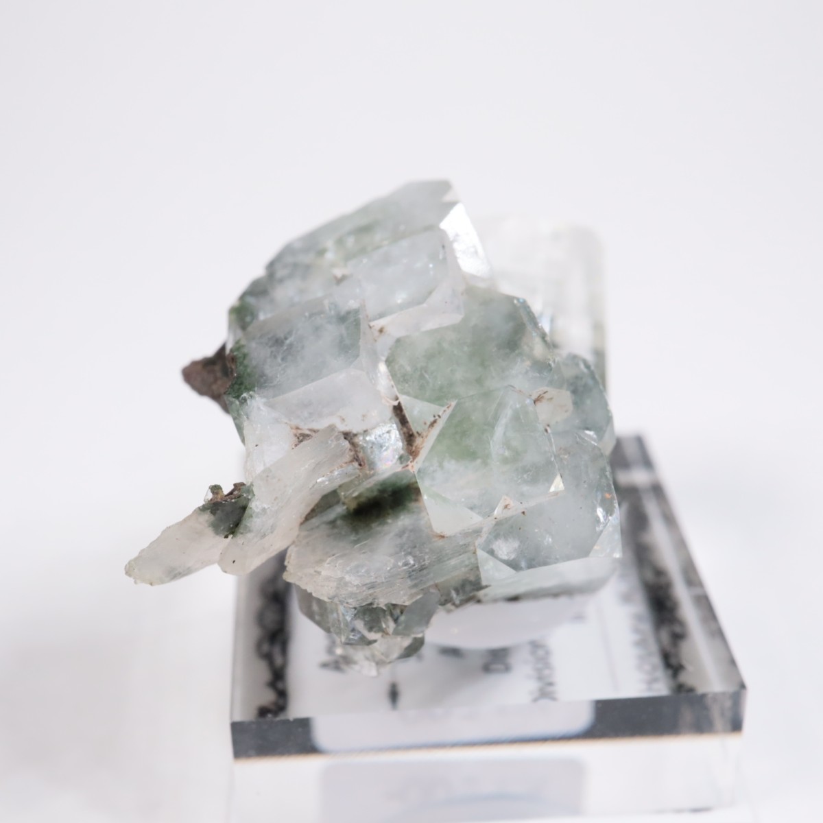 ����ɻ� ���ݥե��饤��