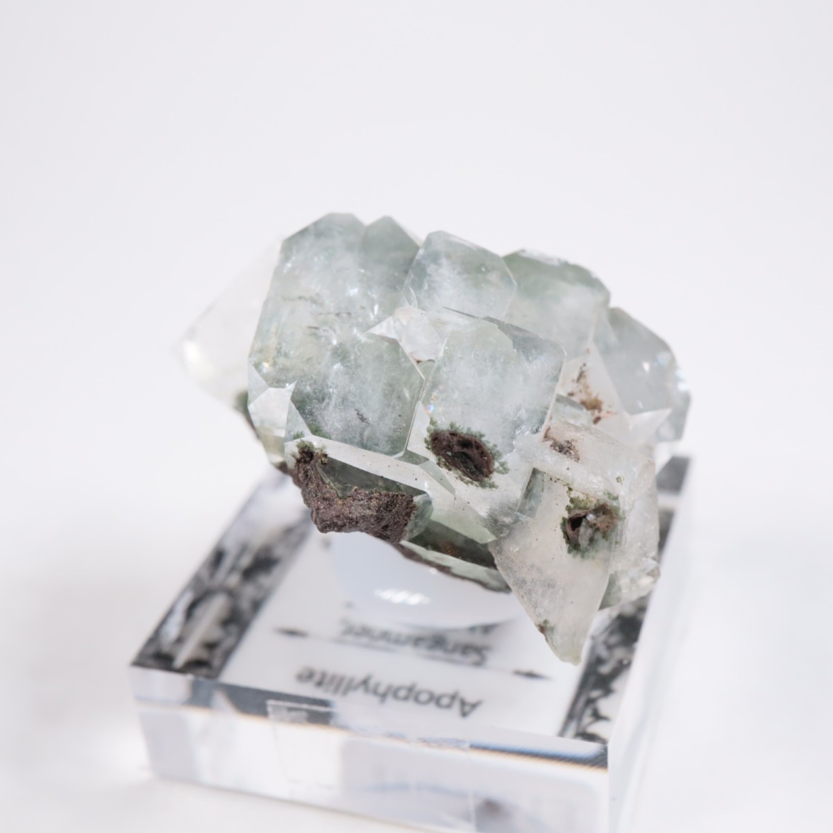 ����ɻ� ���ݥե��饤��