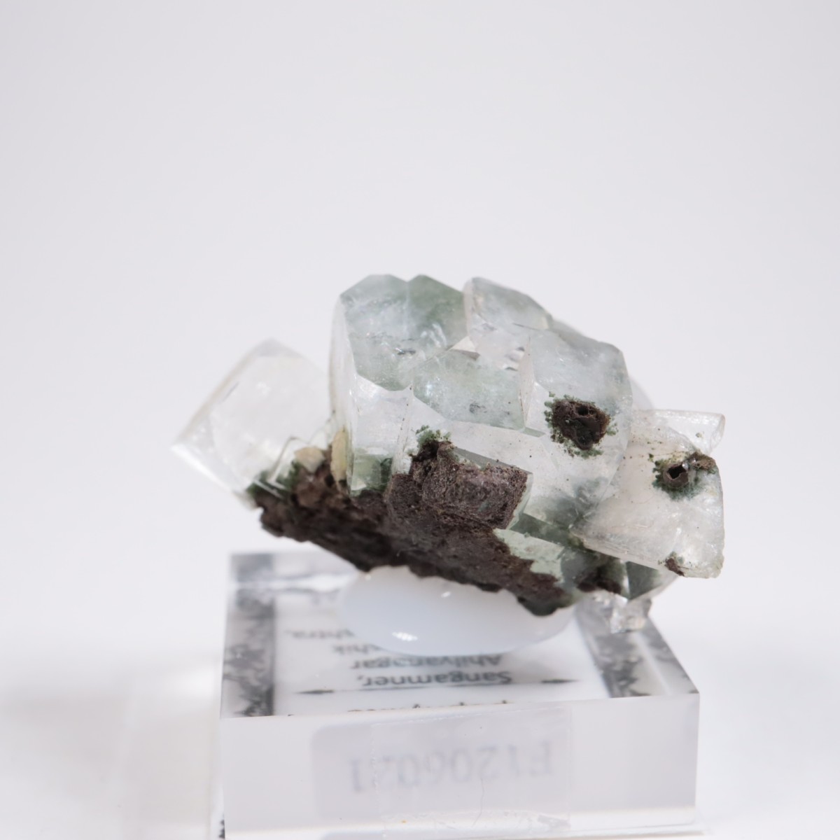 ����ɻ� ���ݥե��饤��