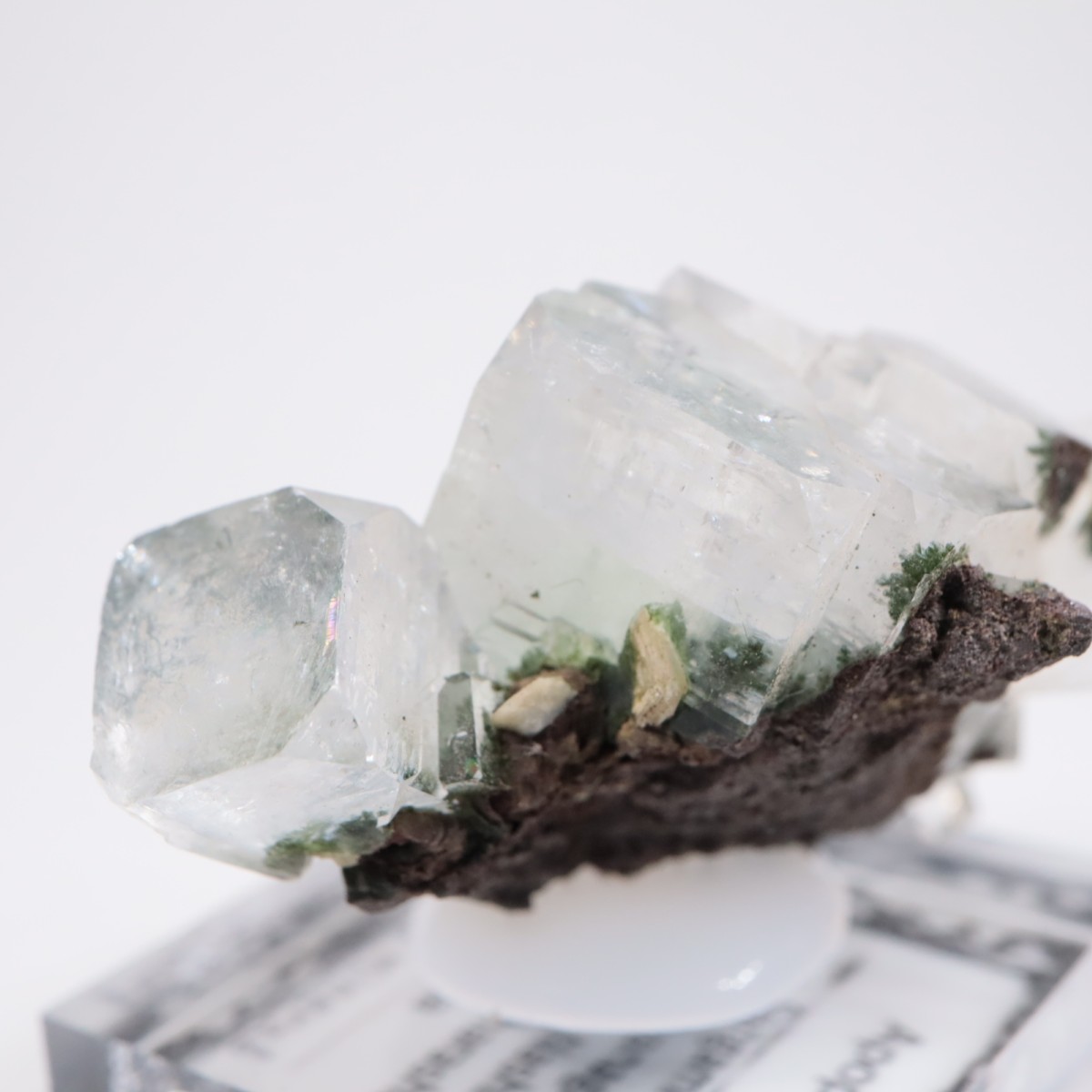 ����ɻ� ���ݥե��饤��