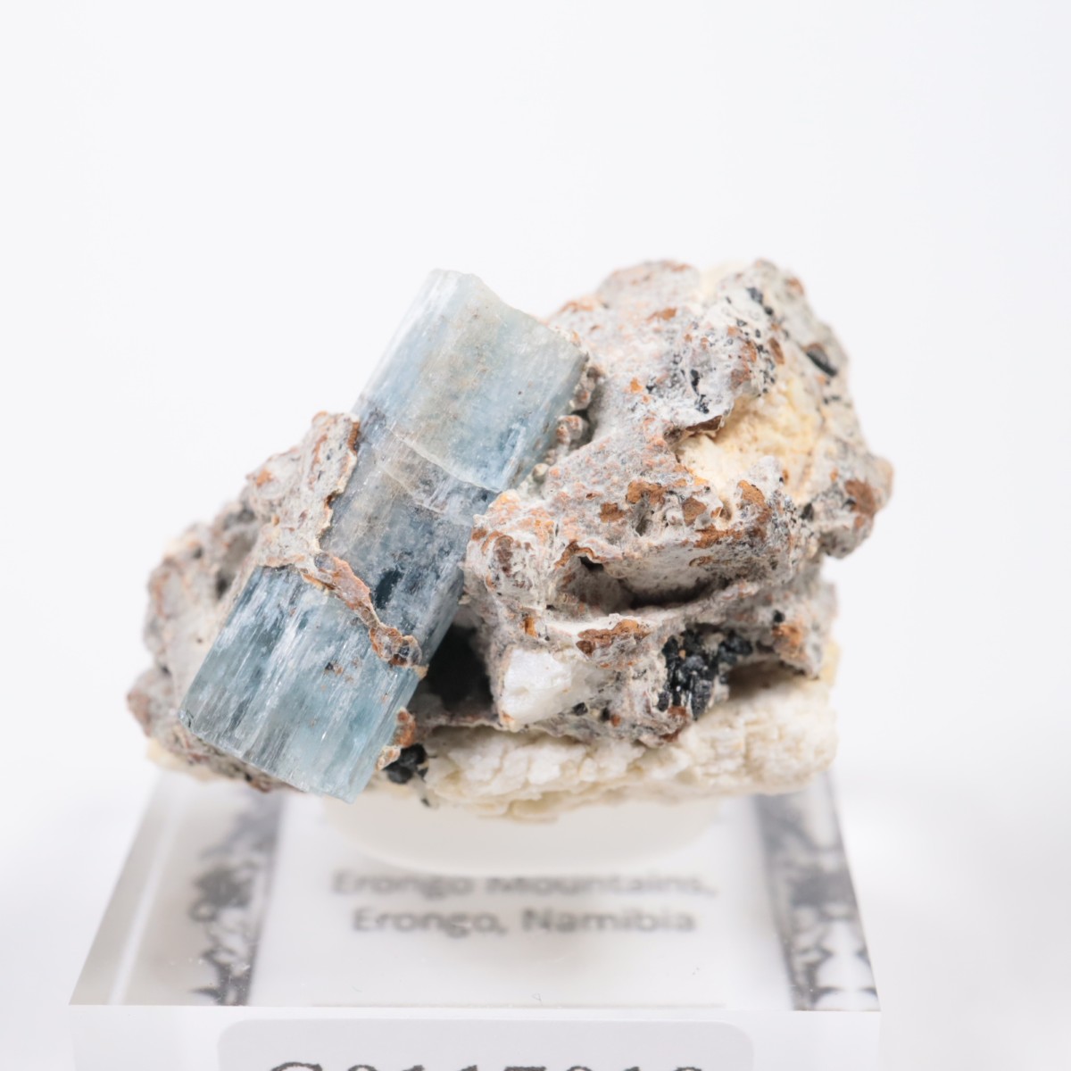 �����󥴹ۻ� �������ޥ��