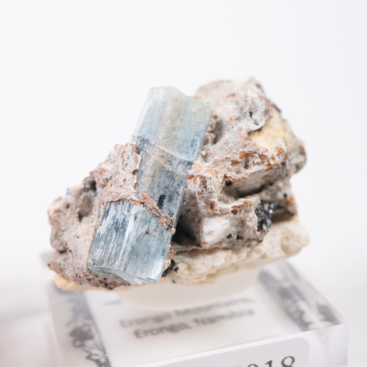 �����󥴹ۻ� �������ޥ��