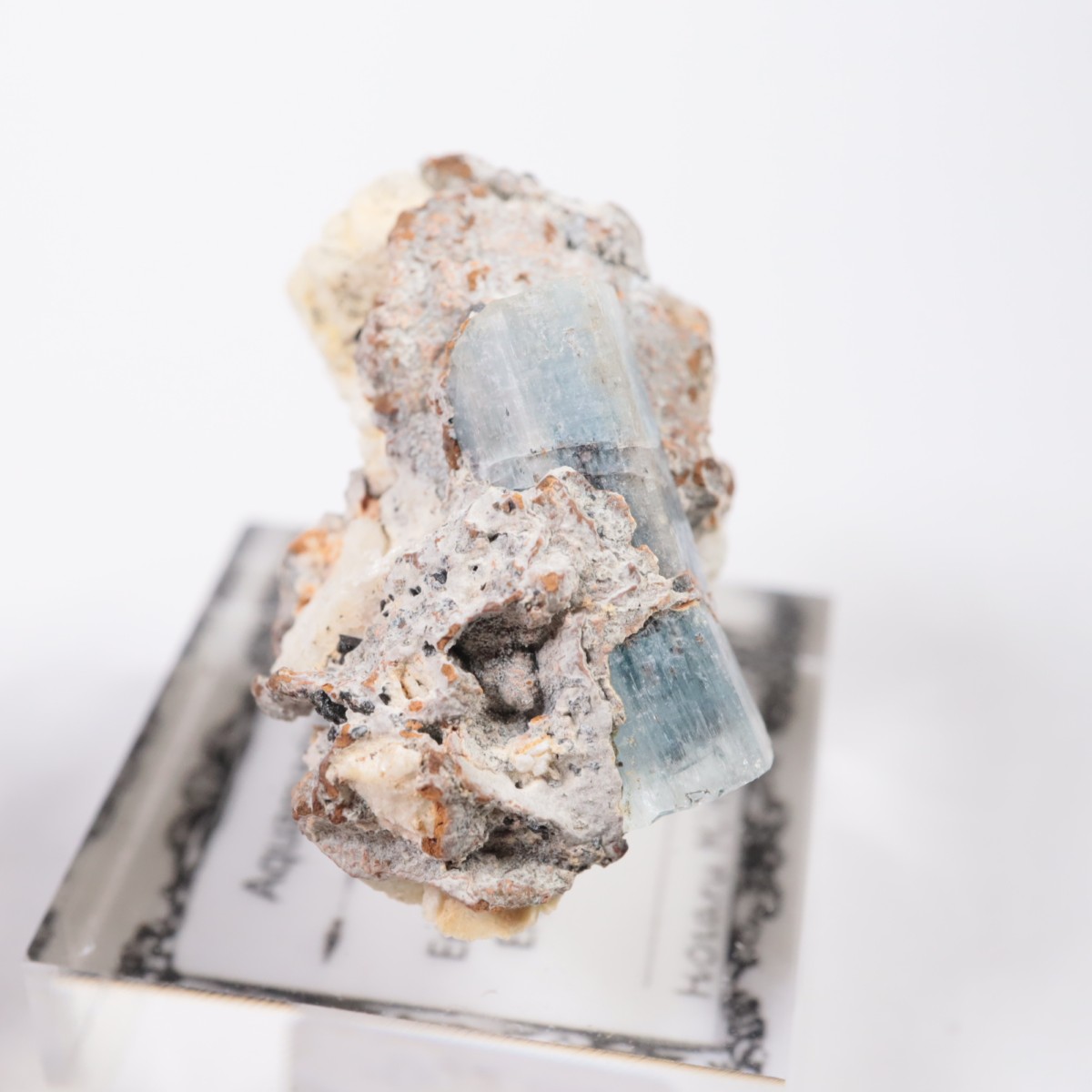 �����󥴹ۻ� �������ޥ��