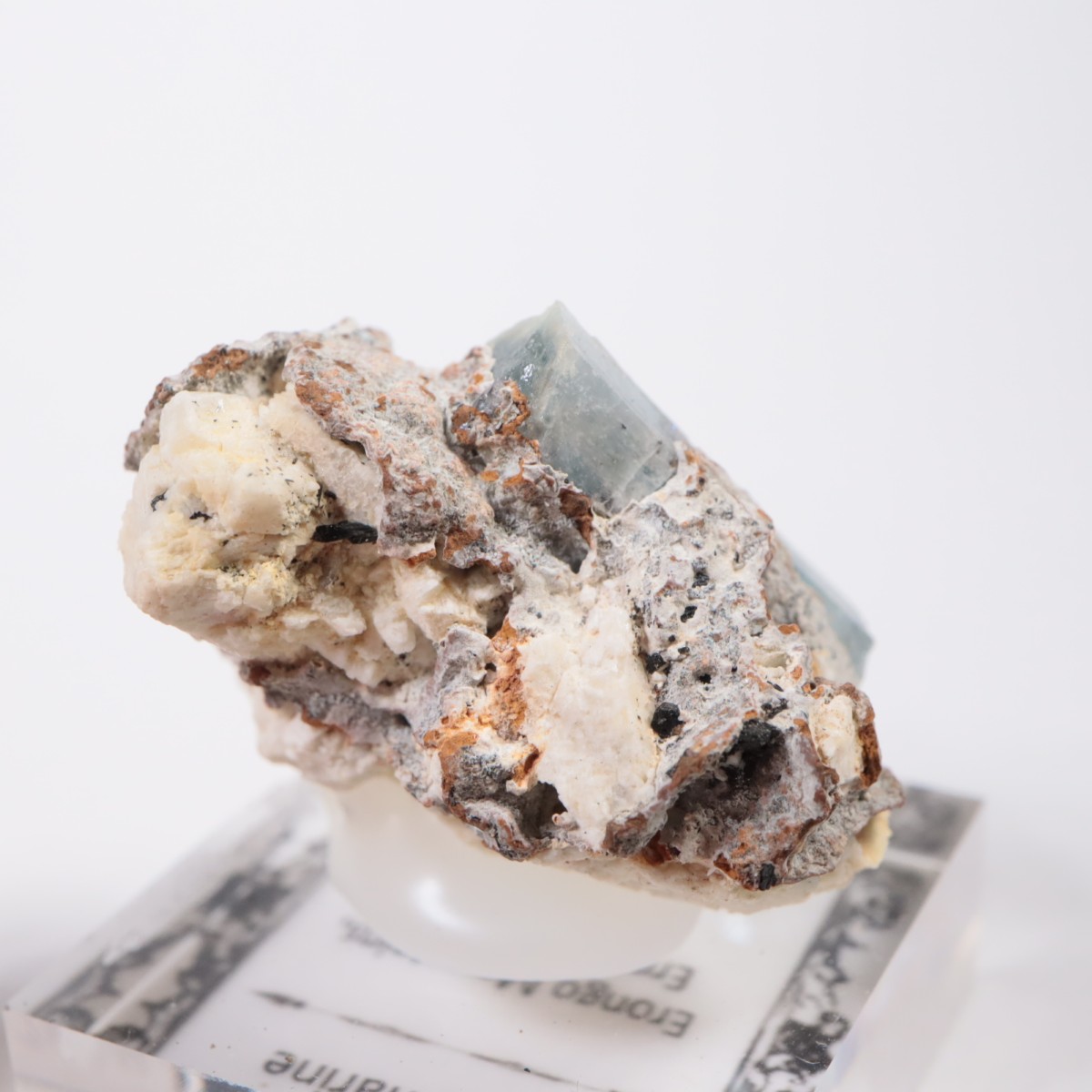 �����󥴹ۻ� �������ޥ��