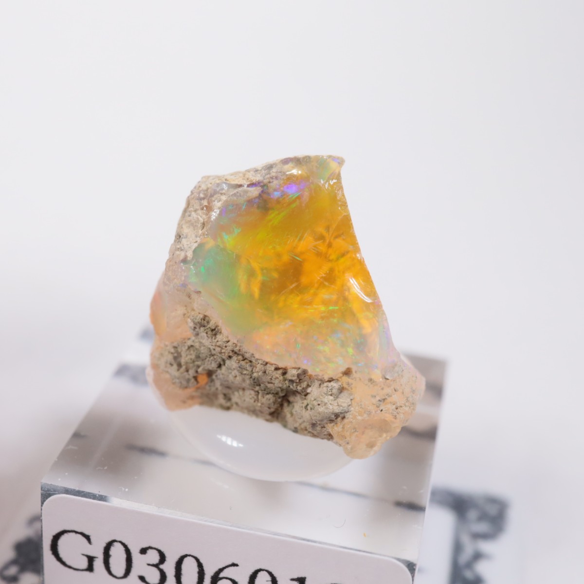 �������ԥ��� ���ѡ���