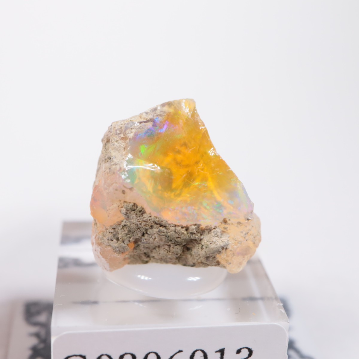 �������ԥ��� ���ѡ���